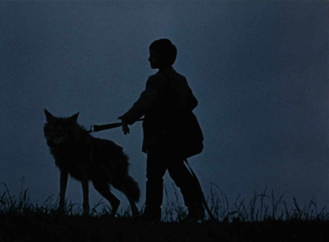 яДивимося екологічну драму про дружбу хлопчика і справжнього вовка